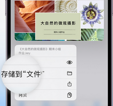 长宁apple维修中心分享iPhone文件应用中存储和找到下载文件