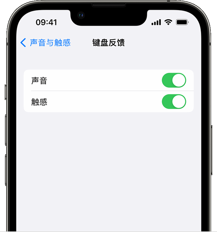 长宁苹果14维修店分享如何在 iPhone 14 机型中使用触感键盘 