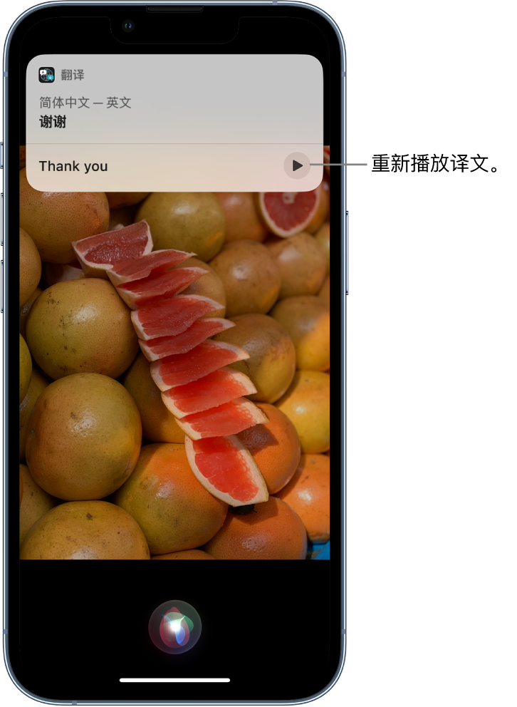 长宁苹果14维修分享 iPhone 14 机型中使用 Siri：了解 Siri 能帮你做什么 