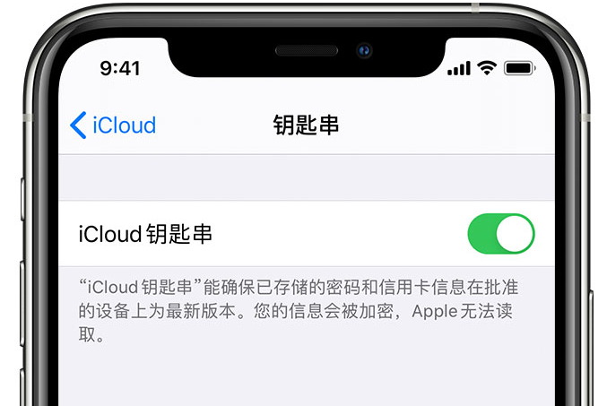 长宁苹果手机维修分享在 iPhone 上开启 iCloud 钥匙串之后会储存哪些信息 