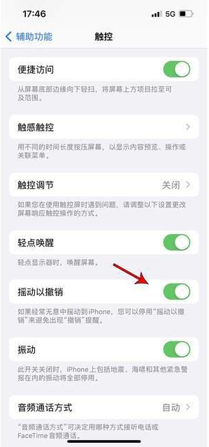 长宁苹果手机维修分享iPhone手机如何设置摇一摇删除文字 