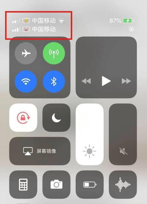 长宁苹果手机维修分享为 iPhone 12 双卡设置标签 